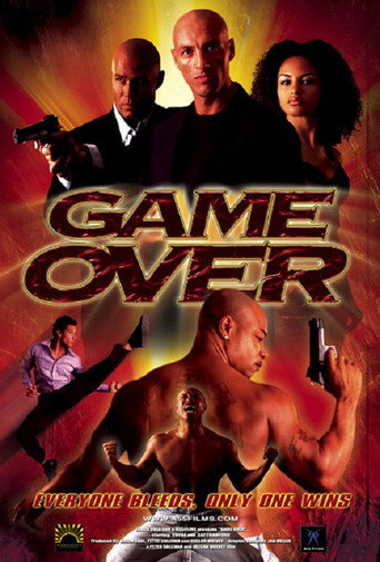 Póster de Game Over
