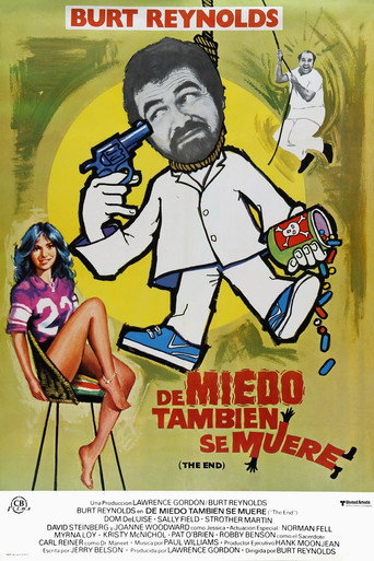 Póster de The End