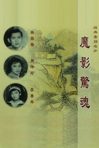 Póster de 魔影驚魂