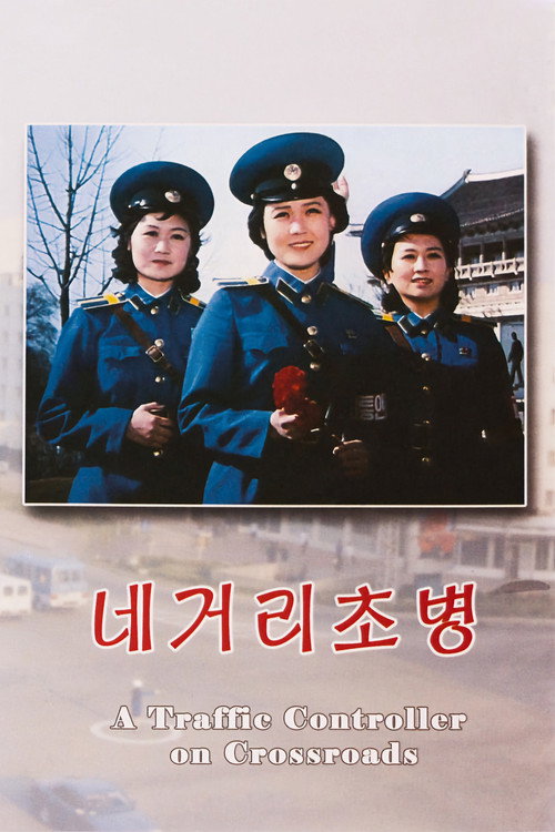 Póster de 네거리초병