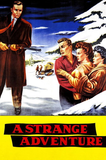 Póster de A Strange Adventure