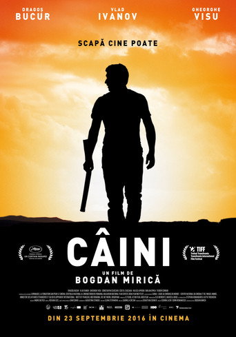 Póster de Câini