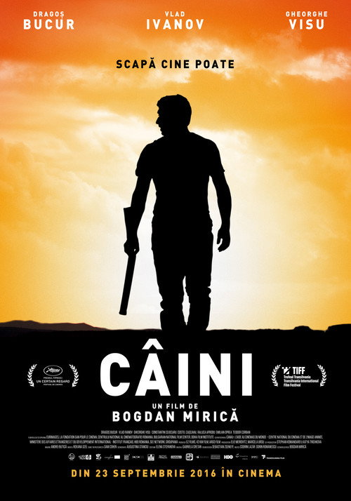 Póster de Câini
