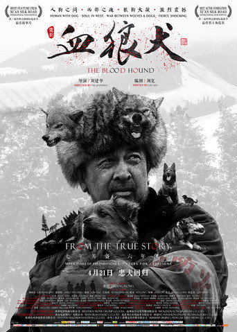 Póster de 血狼犬