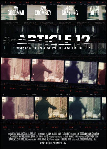 Póster de Article 12