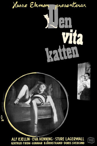 Póster de Den vita katten