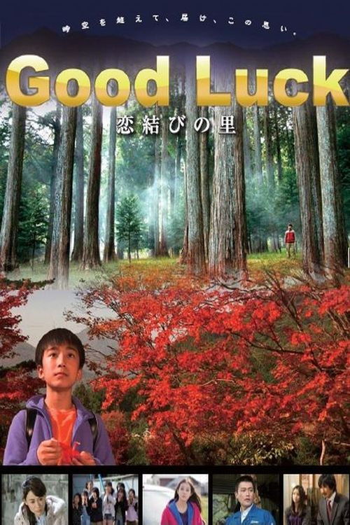 Póster de 恋結びの里
