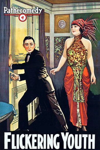 Póster de Flickering Youth