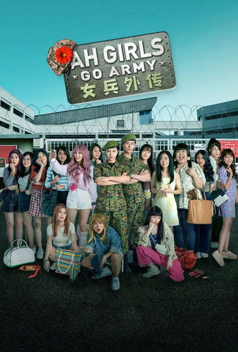 Póster de 女兵外传