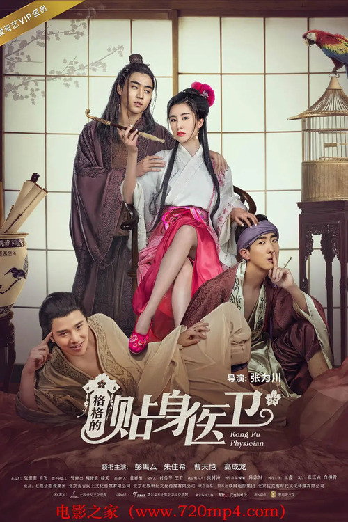 Póster de 格格的贴身医卫