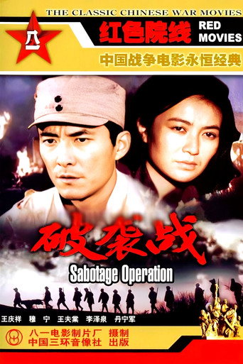 Póster de 破袭战
