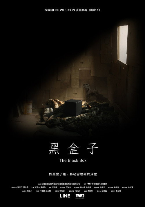 Póster de 黑盒子