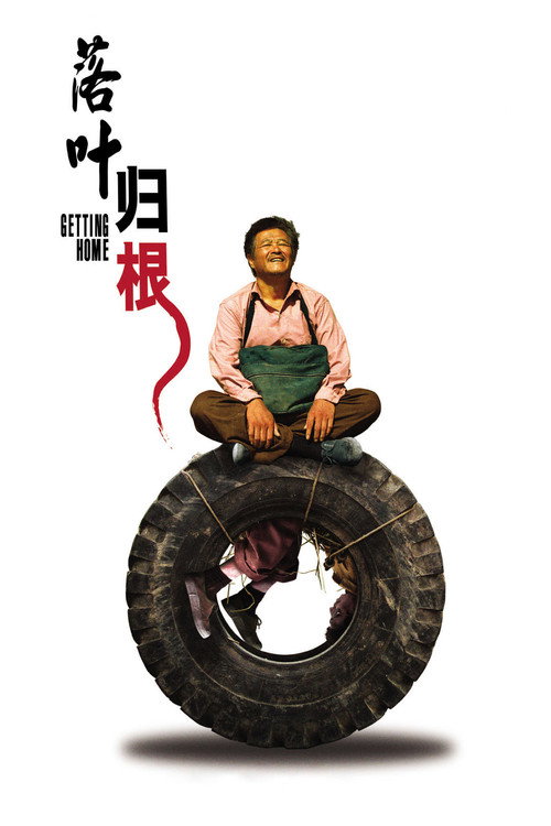 Póster de 落叶归根