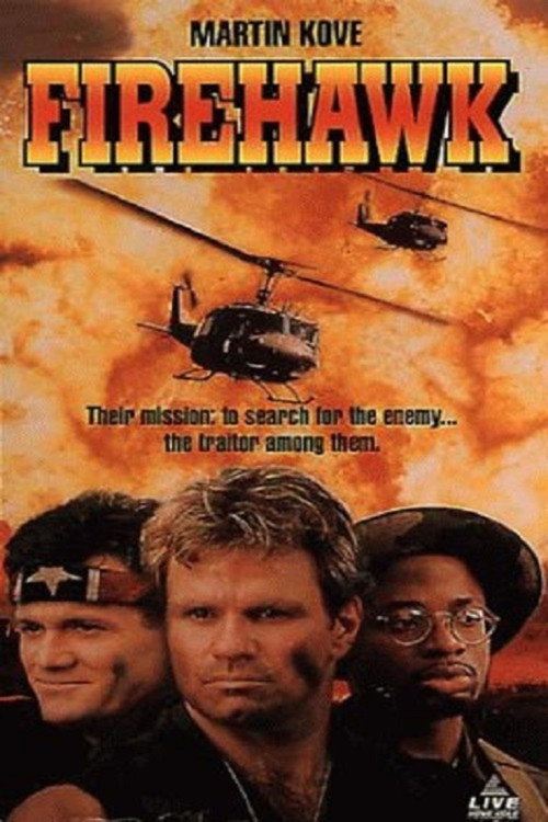 Póster de Firehawk
