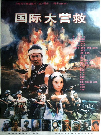 Póster de 国际大营救