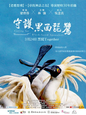 Póster de Caring for Black-Faced Spoonbill