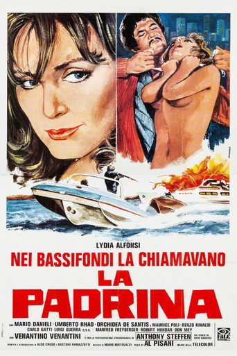 Póster de La padrina