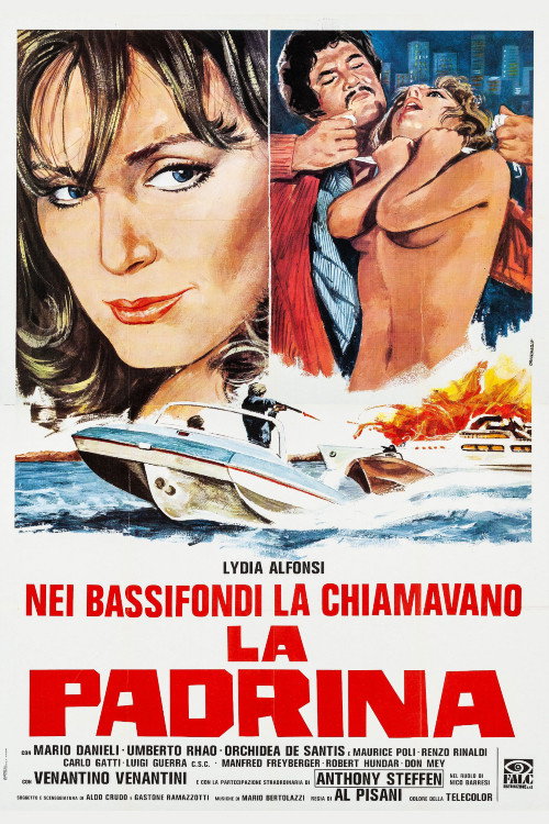 Póster de La padrina