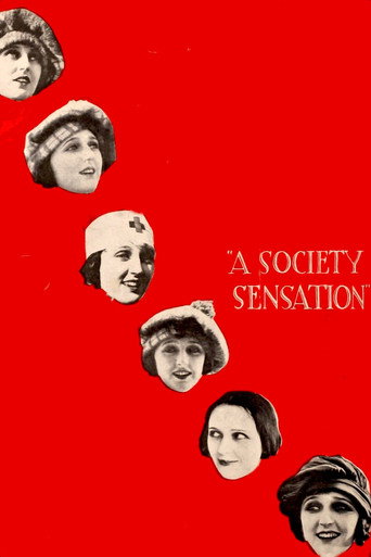 Póster de A Society Sensation