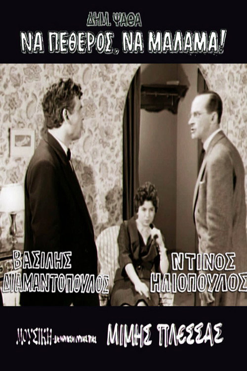 Póster de Να πεθερός, να μάλαμα!