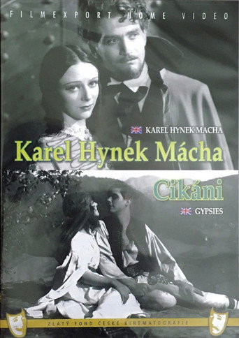 Póster de Cikáni