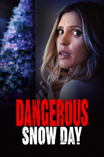 Póster de Dangerous Snow Day
