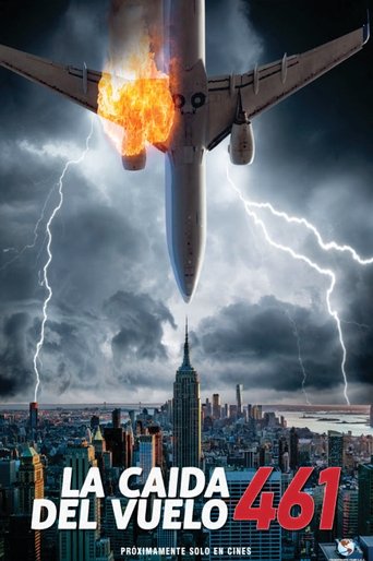 Póster de La Caida del Vuelo 461