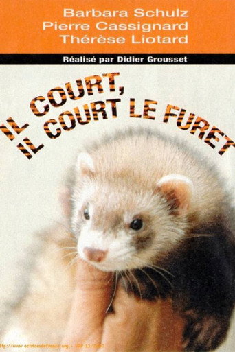 Póster de Il court, il court, le furet...
