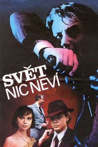 Póster de Svět nic neví