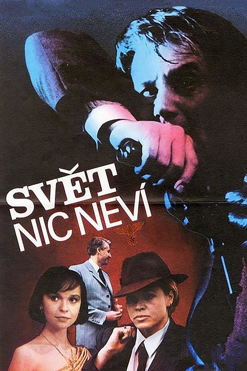 Póster de Svět nic neví