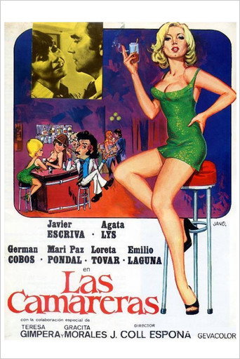Póster de Las camareras