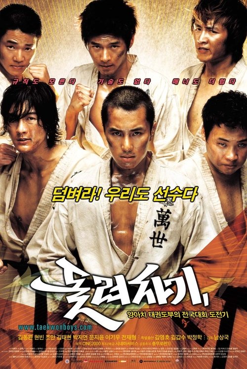 Póster de 돌려차기