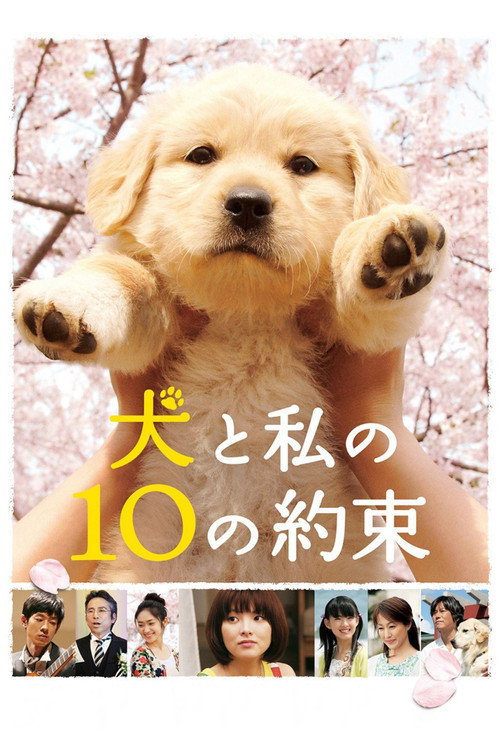 Póster de 犬と私の10の約束