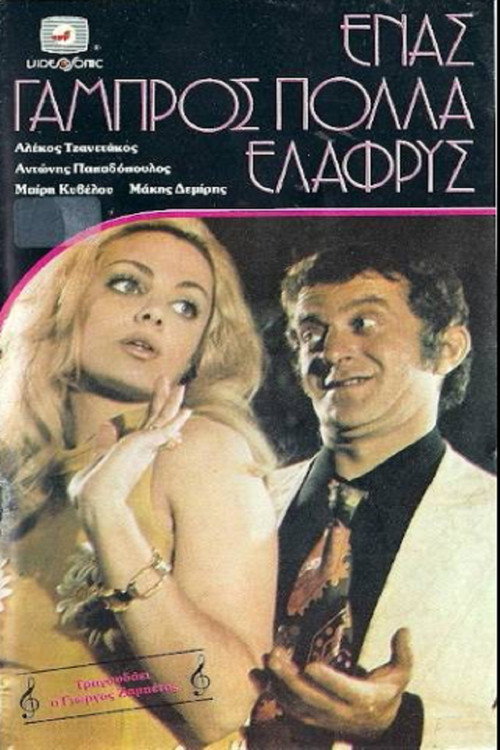 Póster de Ένας Γαμπρός Πολλά Ελαφρύς