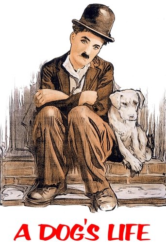 Póster de Vida de perro
