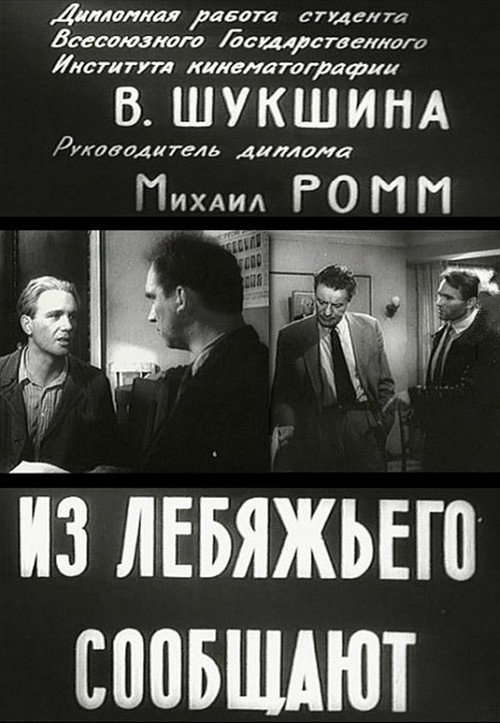 Póster de Из Лебяжьего сообщают