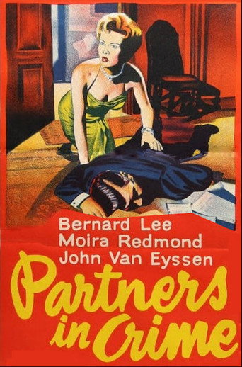 Póster de Partners in Crime
