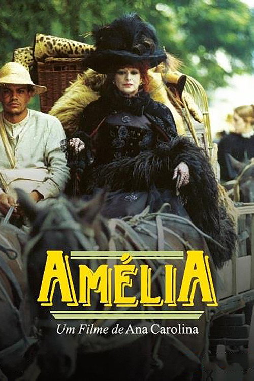 Póster de Amélia