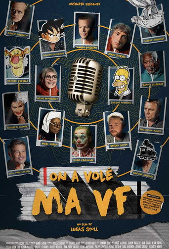 Póster de On a volé ma VF