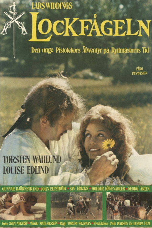 Póster de Lockfågeln