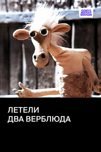 Póster de Летели два верблюда