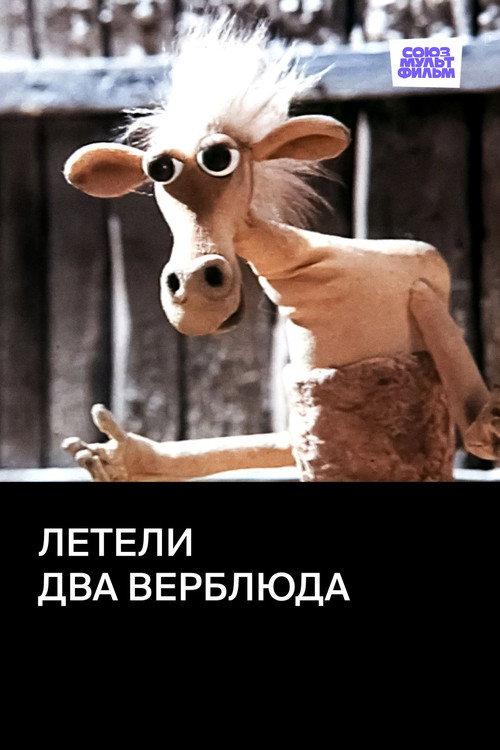 Póster de Летели два верблюда