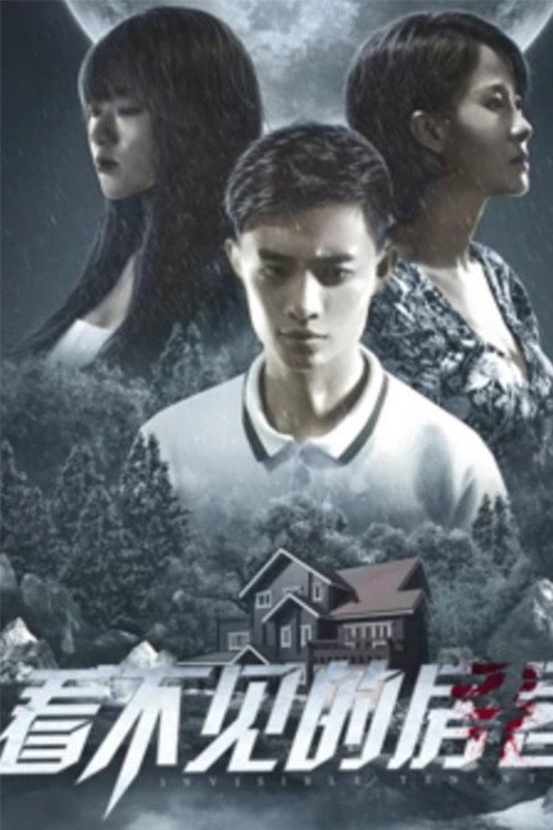 Póster de 看不见的房客