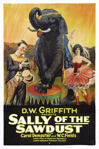 Póster de Sally of the Sawdust