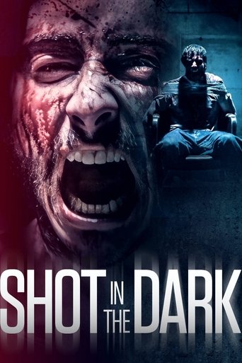 Póster de Shot in the Dark