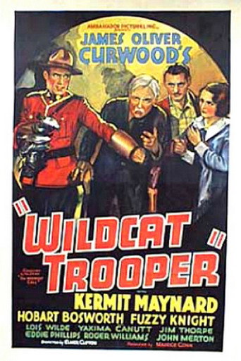 Póster de Wildcat Trooper