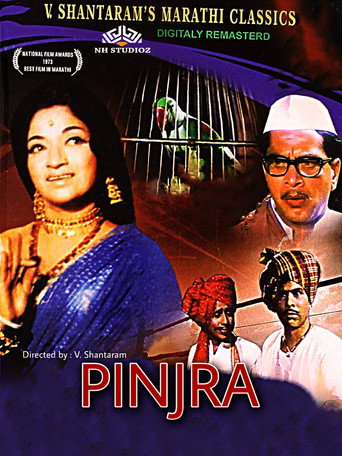 Póster de पिंजरा
