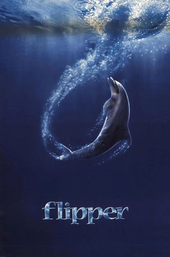 Póster de Flipper