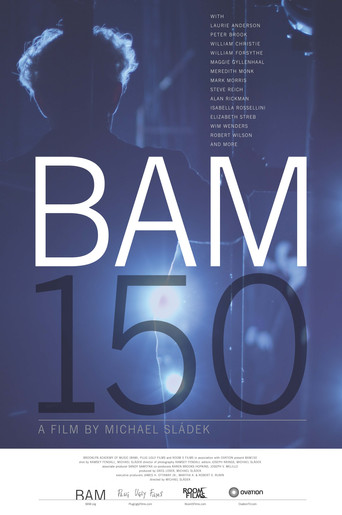 Póster de BAM150