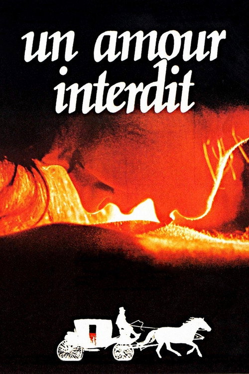 Póster de Un amour interdit